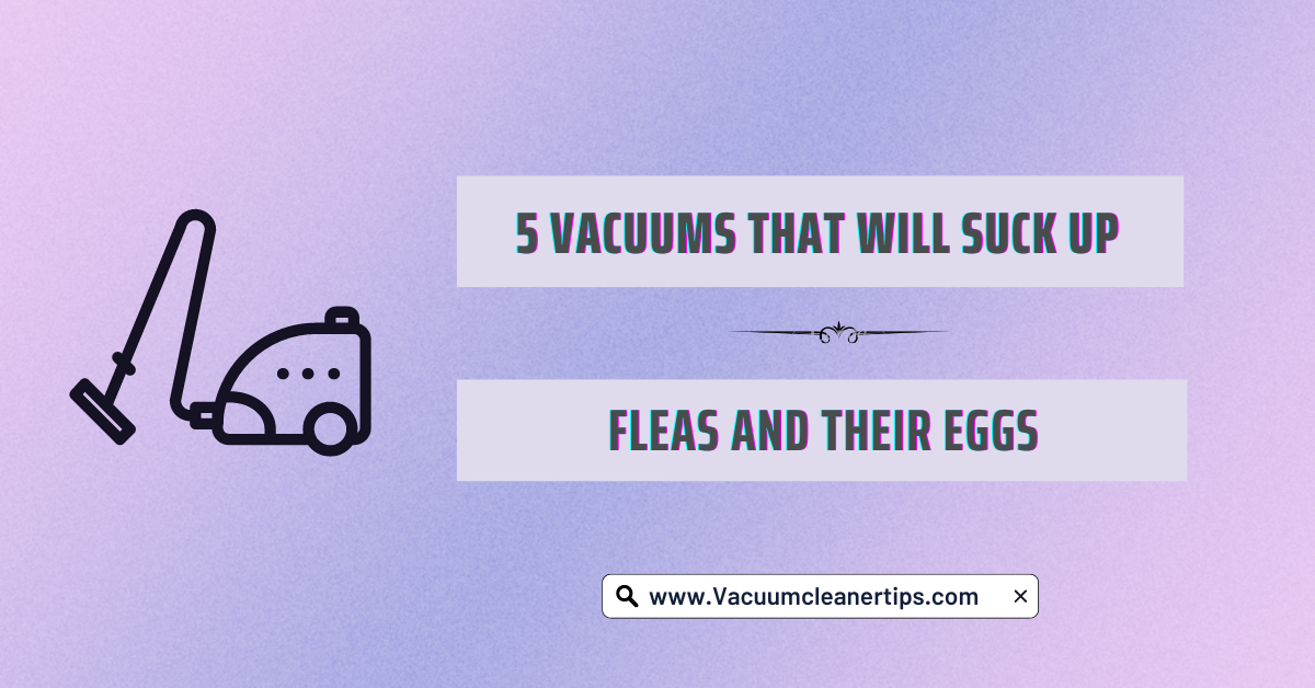 Best vacuum cleaner for fleas