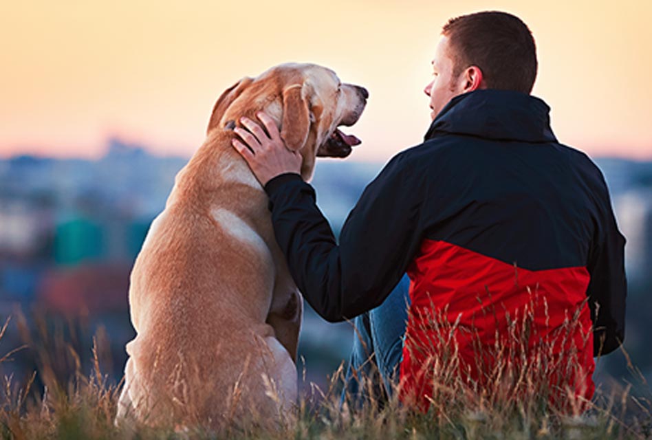 How Pets Boost Our Mental Health and Well-being with Their Love