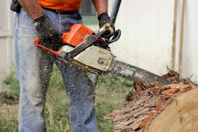 How to Select the Right Hearing Protection for Chainsaw Use?