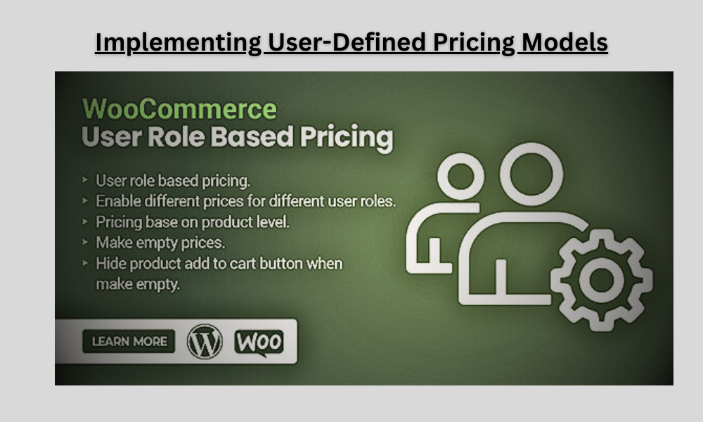 Implementing User-Defined Pricing Models