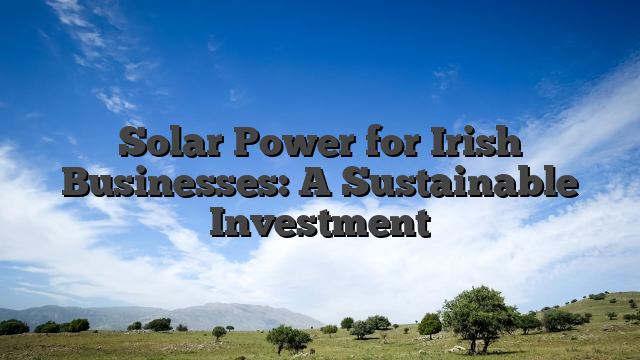 Solar Power for Irish Businesses: A Sustainable Investment