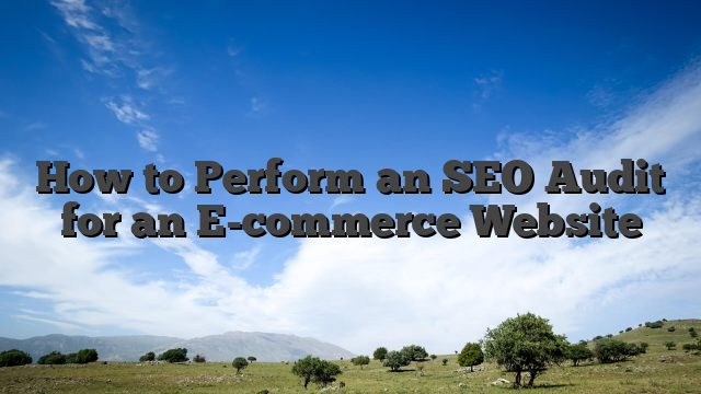 How to Perform an SEO Audit for an E-commerce Website