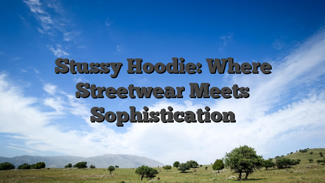 Stussy Hoodie: Where Streetwear Meets Sophistication