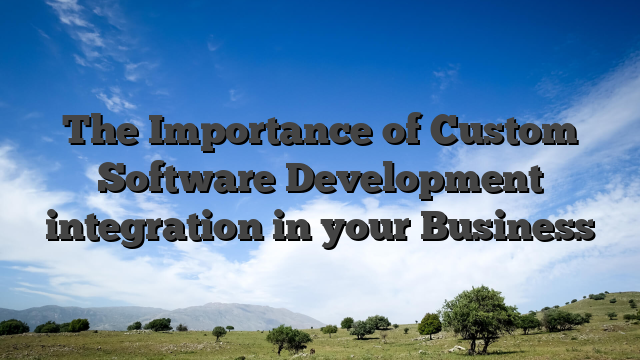 The Importance of Custom Software Development integration in your Business