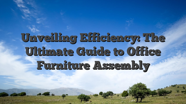 Unveiling Efficiency: The Ultimate Guide to Office Furniture Assembly