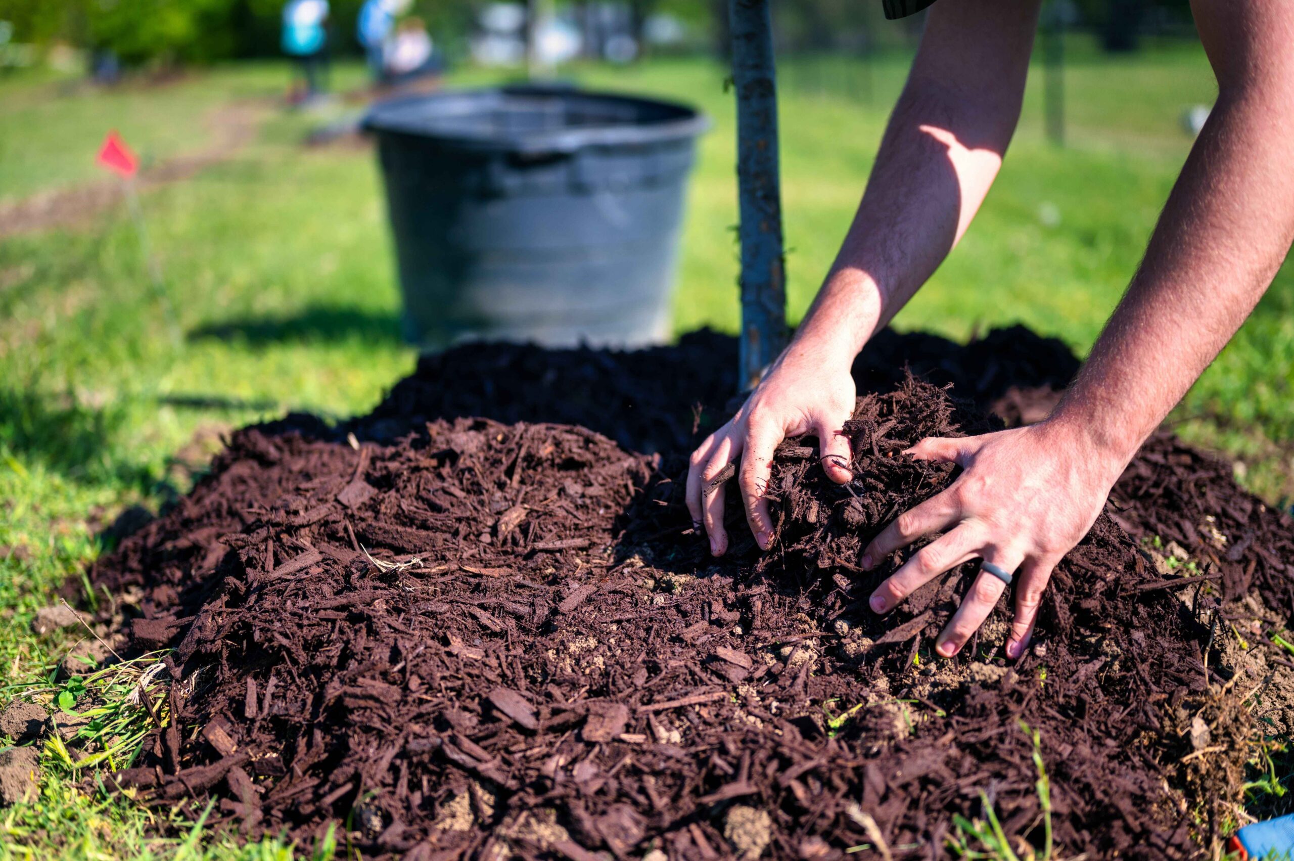 Efficiency and Savings: A Practical Guide to Bulk Mulch Delivery in Ohio