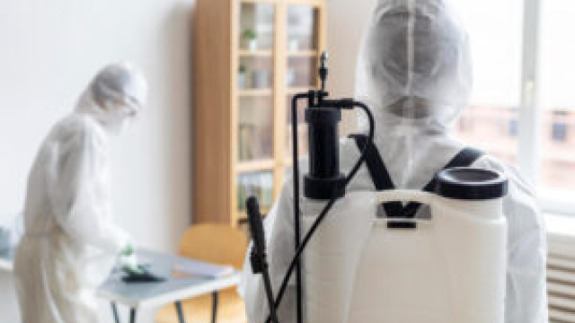 Saying Goodbye to Bed Bugs: Effective Removal Solutions in Singapore