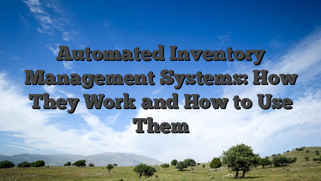 Automated Inventory Management Systems: How They Work and How to Use Them