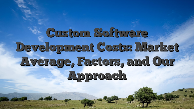 Custom Software Development Costs: Market Average, Factors, and Our Approach