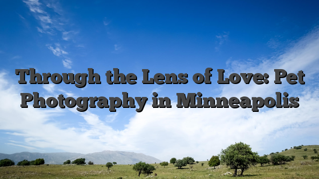 Through the Lens of Love: Pet Photography in Minneapolis