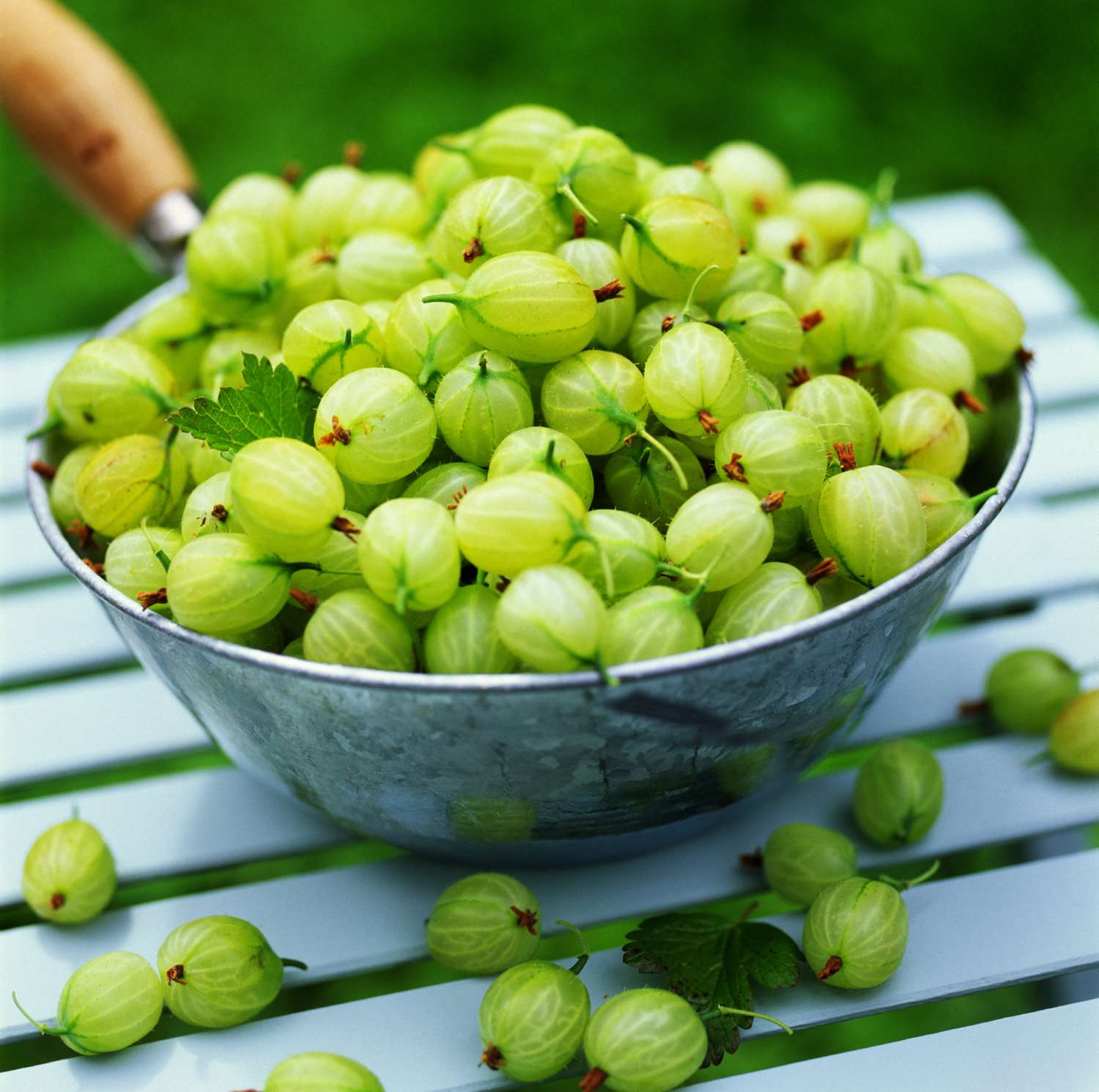 The Nutrition Facts And Health Benefits Of Gooseberries