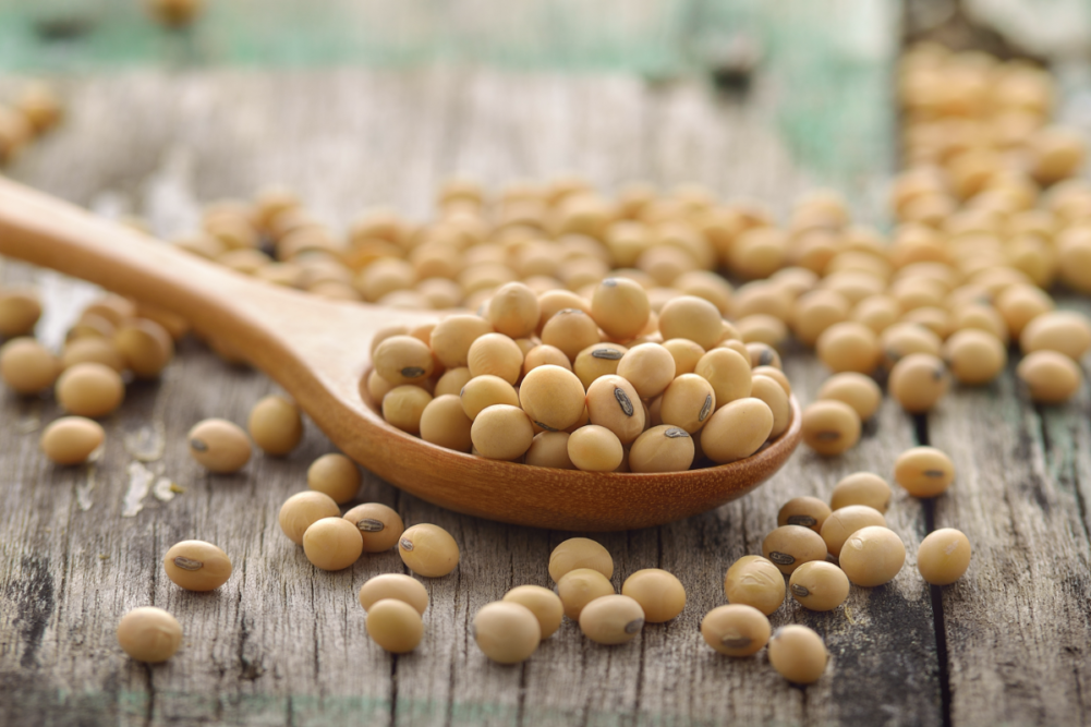 Soy Milk Has Many Health And Diet Benefits