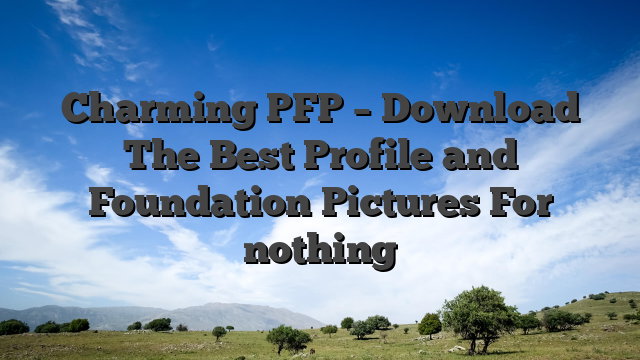 Charming PFP – Download The Best Profile and Foundation Pictures For nothing