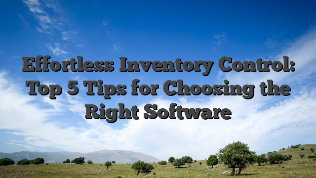Effortless Inventory Control: Top 5 Tips for Choosing the Right Software