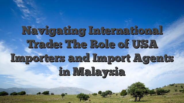 Navigating International Trade: The Role of USA Importers and Import Agents in Malaysia