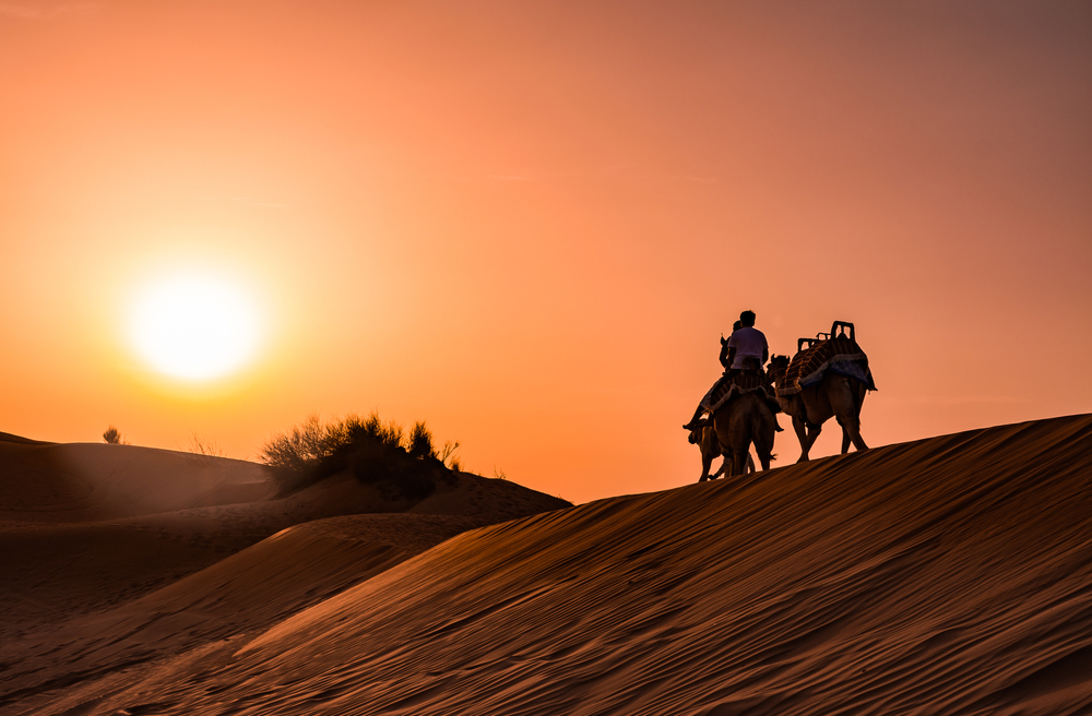 Tips for Making the Most of Your Camel Ride Dubai Experience