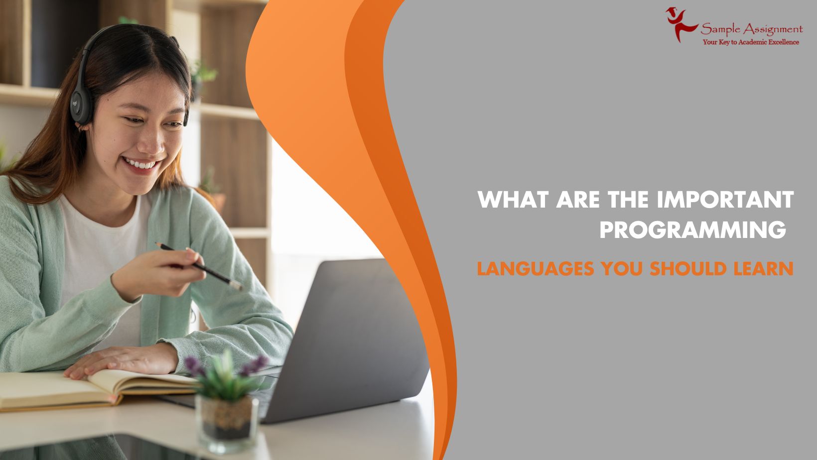 What are the Important Programming Languages You Should Learn