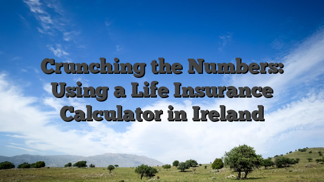 Crunching the Numbers: Using a Life Insurance Calculator in Ireland