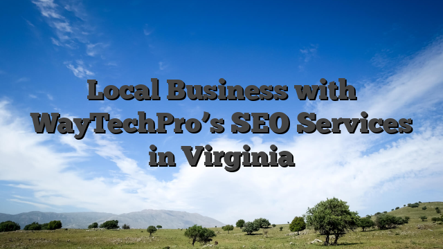 Local Business with WayTechPro’s SEO Services in Virginia