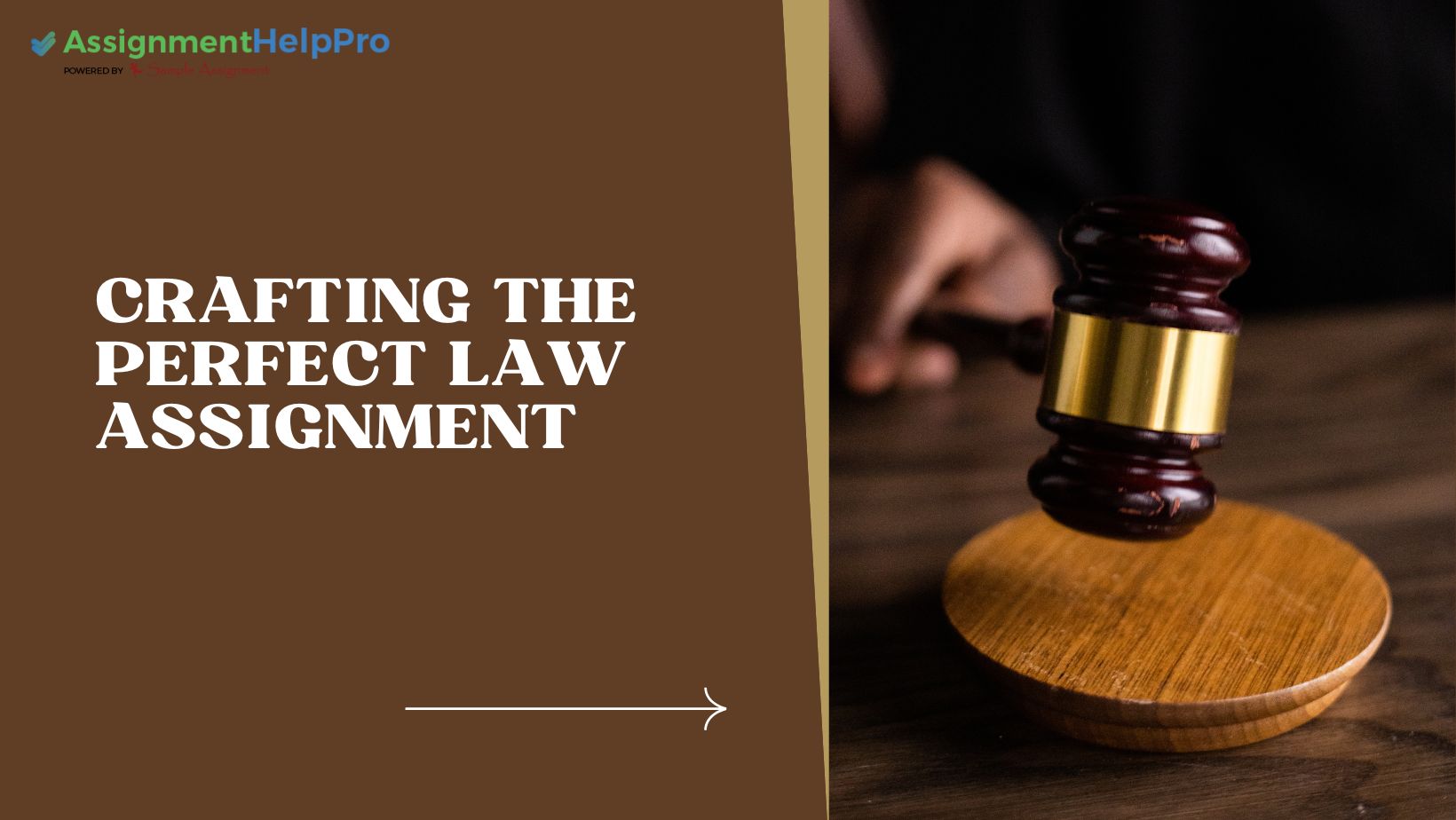 Crafting the Perfect Law Assignment