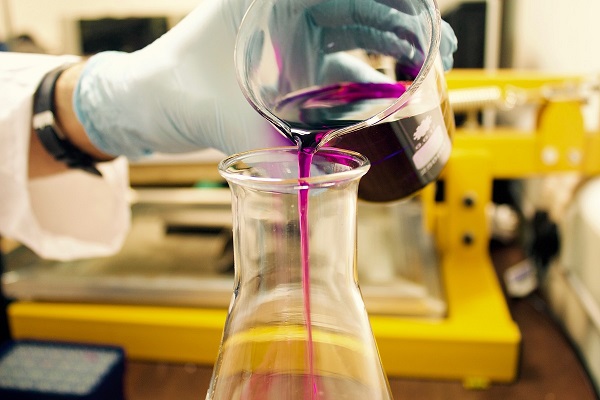 Lactic Acid Bacteria Fermentation: A Versatile Technology for Industrial Use