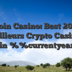 Bitcoin Casino: Best 20 Des Meilleurs Crypto Casinos Bitcoin %%currentyear%%