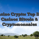 Casino Crypto: Top Des Casinos Bitcoin & Cryptomonnaies