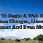 How To Begin A Web Based Casino: Charges, Licenses, Games And Even More