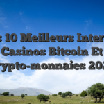 Les 10 Meilleurs Internet Casinos Bitcoin Et Crypto-monnaies 2024