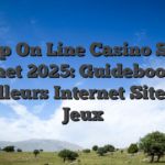 Top On Line Casino Sur Internet 2025: Guidebook Des Meilleurs Internet Sites De Jeux