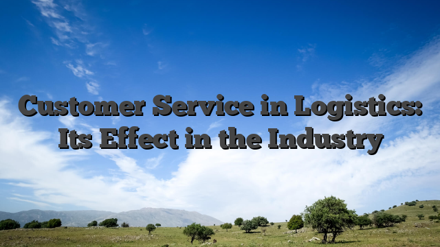Customer Service in Logistics: Its Effect in the Industry
