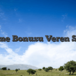 Deneme Bonusu Veren Siteler
