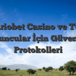 Mariobet Casino ve Türk Oyuncular İçin Güvenlik Protokolleri