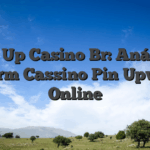 Pin Up Casino Br: Análise Perform Cassino Pin Upwards Online