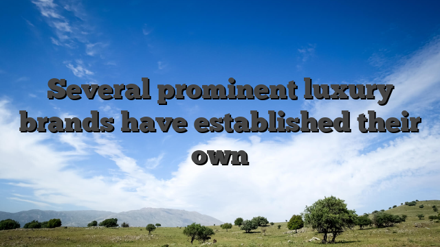 Several prominent luxury brands have established their own