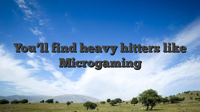 You’ll find heavy hitters like Microgaming