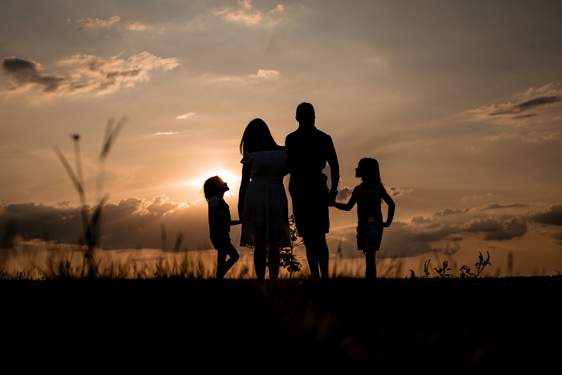Family Mediation vs. Counseling: What’s the Difference?