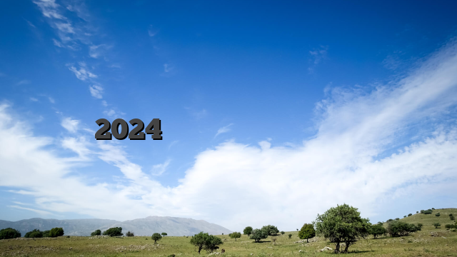 2024 년 한국 온라인 베팅 및 카지노 공식 웹사이트
