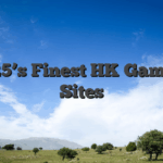 2025’s Finest HK Gaming Sites
