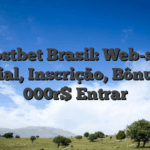 Mostbet Brasil: Web-site Oficial, Inscrição, Bônus 15 000r$ Entrar