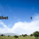 Mostbet দিয়ে কিভাবে খেলবো: আউটকামে দ্রুত পরিবর্তন আনুন