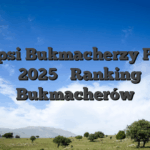 Najlepsi Bukmacherzy Polska ᐉ 2025 ️ Ranking Bukmacherów