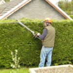 Do I Need Permission to Cut a Hedge in Luton?