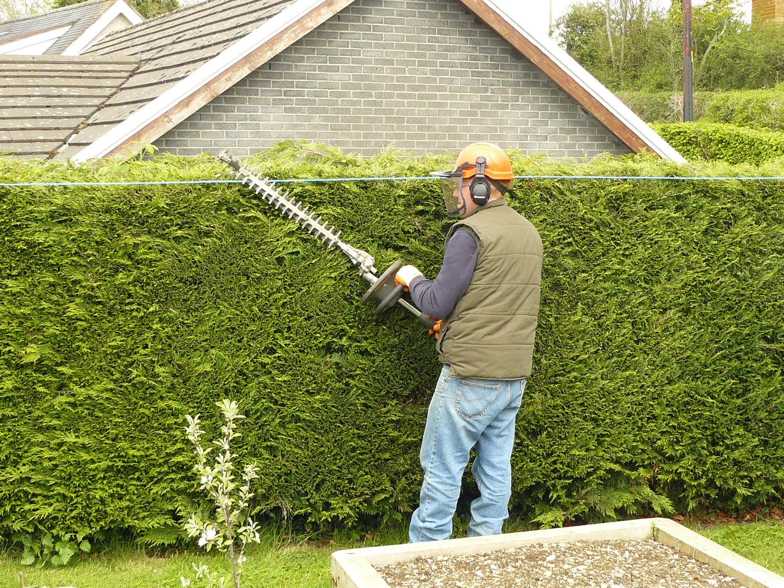 Do I Need Permission to Cut a Hedge in Luton?