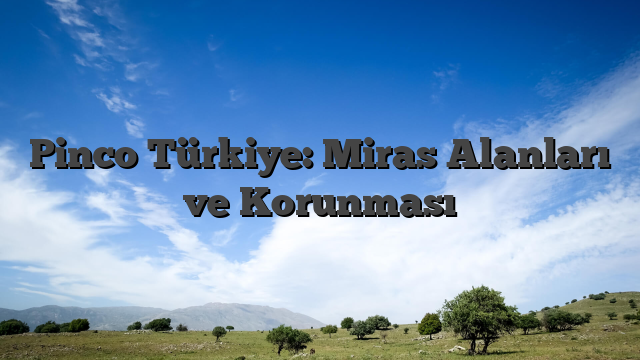 Pinco Türkiye: Miras Alanları ve Korunması