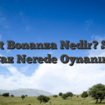Sweet Bonanza Nedir? Sweet Paz Nerede Oynanır?