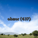 obzor (437)
