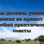 Как достичь успеха в ставках на крикет на Mostbet: практические советы