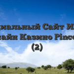 Официальный Сайт Играть в Онлайн Казино Pinco.4127 (2)